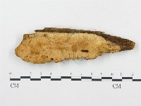 登錄號:F0014131藏品圖，第1張
