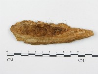 登錄號:F0014131藏品圖，第3張