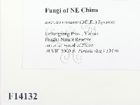 登錄號:F0014132藏品圖，第2張