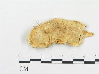 登錄號:F0014132藏品圖，第1張