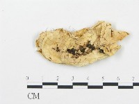 登錄號:F0014132藏品圖，第3張