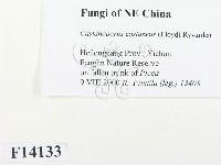 登錄號:F0014133藏品圖，第2張