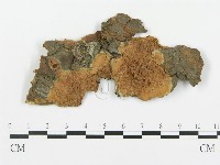 登錄號:F0014133藏品圖，第1張
