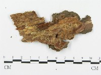 登錄號:F0014133藏品圖，第3張