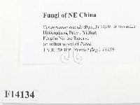 登錄號:F0014134藏品圖，第2張
