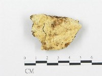 登錄號:F0014134藏品圖，第1張
