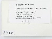 登錄號:F0014135藏品圖，第2張