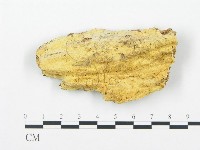 登錄號:F0014135藏品圖，第1張