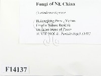 登錄號:F0014137藏品圖，第2張