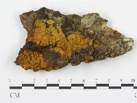 登錄號:F0014137藏品圖，第1張