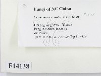 登錄號:F0014138藏品圖，第2張
