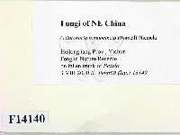 登錄號:F0014140藏品圖，第2張