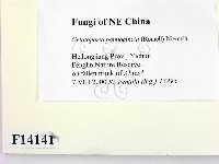 登錄號:F0014141藏品圖，第2張