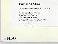 登錄號:F0014143藏品圖，第2張