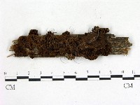 登錄號:F0014143藏品圖，第1張