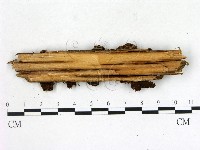 登錄號:F0014143藏品圖，第3張