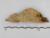 登錄號:F0014145藏品圖，第1張
