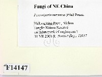 登錄號:F0014147藏品圖，第2張
