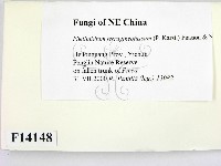 登錄號:F0014148藏品圖，第2張