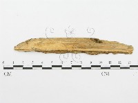 登錄號:F0014148藏品圖，第3張