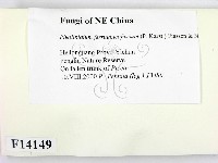 登錄號:F0014149藏品圖，第2張