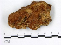 登錄號:F0014149藏品圖，第3張