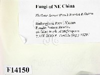 登錄號:F0014150藏品圖，第2張