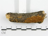 登錄號:F0014150藏品圖，第3張