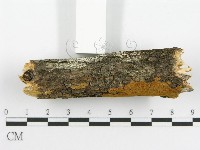 登錄號:F0014150藏品圖，第4張