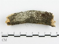 登錄號:F0014150藏品圖，第5張