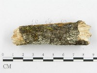 登錄號:F0014150藏品圖，第7張