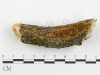 登錄號:F0014150藏品圖，第8張