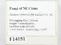 登錄號:F0014151藏品圖，第2張