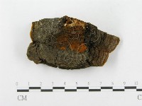 登錄號:F0014151藏品圖，第1張