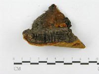 登錄號:F0014151藏品圖，第3張