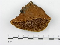 登錄號:F0014151藏品圖，第4張