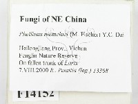登錄號:F0014152藏品圖，第2張