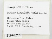 登錄號:F0014152藏品圖，第3張