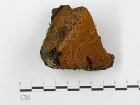 登錄號:F0014152藏品圖，第5張
