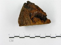 登錄號:F0014152藏品圖，第6張