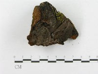 登錄號:F0014152藏品圖，第7張