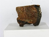 登錄號:F0014152藏品圖，第9張