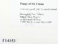 登錄號:F0014153藏品圖，第2張