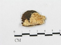 登錄號:F0014153藏品圖，第1張