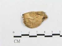 登錄號:F0014153藏品圖，第3張