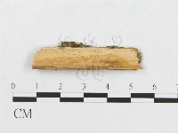 登錄號:F0014154藏品圖，第3張