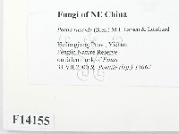 登錄號:F0014155藏品圖，第2張