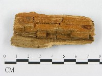 登錄號:F0014155藏品圖，第3張