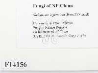 登錄號:F0014156藏品圖，第2張