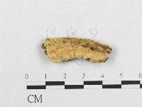 登錄號:F0014156藏品圖，第1張